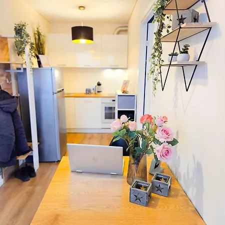 Cofy - Near-centrally Located, Quiet District, Air-conditioning, Free Parking, 24-7 Express Check-in-out, Close To Nature, Everything Need For Living! Tartu