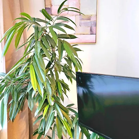 Cofy - Near-centrally Located, Quiet District, Air-conditioning, Free Parking, 24-7 Express Check-in-out, Close To Nature, Everything Need For Living! Apartment *