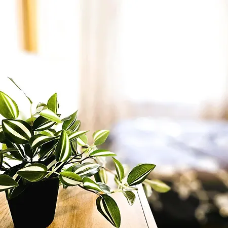 Cofy - Near-centrally Located, Quiet District, Air-conditioning, Free Parking, 24-7 Express Check-in-out, Close To Nature, Everything Need For Living! Tartu