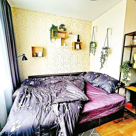 Cofy - Near-centrally Located, Quiet District, Air-conditioning, Free Parking, 24-7 Express Check-in-out, Close To Nature, Everything Need For Living! Apartment Tartu