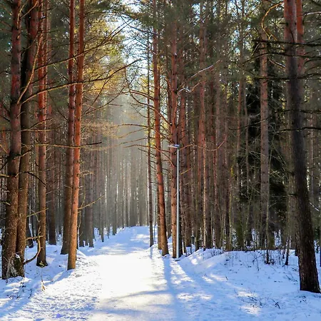 Apartman Cofy - Near-centrally Located, Quiet District, Air-conditioning, Free Parking, 24-7 Express Check-in-out, Close To Nature, Everything Need For Living! Tartu