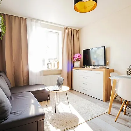 Cofy - Near-centrally Located, Quiet District, Air-conditioning, Free Parking, 24-7 Express Check-in-out, Close To Nature, Everything Need For Living! Tartu
