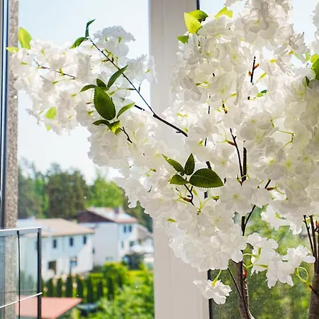 Cofy - Near-centrally Located, Quiet District, Air-conditioning, Free Parking, 24-7 Express Check-in-out, Close To Nature, Everything Need For Living! *