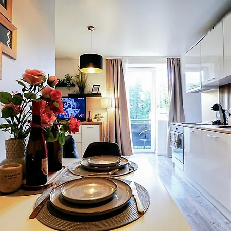 Cofy - Near-centrally Located, Quiet District, Air-conditioning, Free Parking, 24-7 Express Check-in-out, Close To Nature, Everything Need For Living! * Tartu