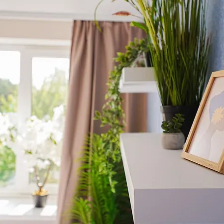 Cofy - Near-centrally Located, Quiet District, Air-conditioning, Free Parking, 24-7 Express Check-in-out, Close To Nature, Everything Need For Living! Apartament *