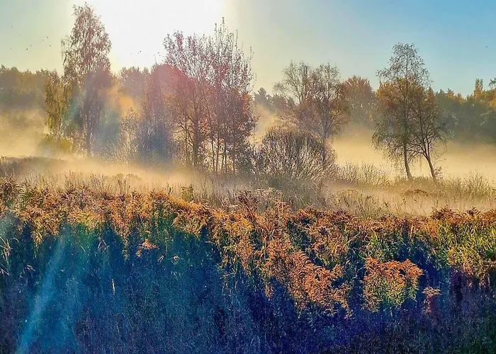 Cofy - Near-centrally Located, Quiet District, Air-conditioning, Free Parking, 24-7 Express Check-in-out, Close To Nature, Everything Need For Living! Appartement Tartu