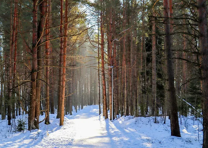 Apartman Cofy - Near-centrally Located, Quiet District, Air-conditioning, Free Parking, 24-7 Express Check-in-out, Close To Nature, Everything Need For Living! Tartu