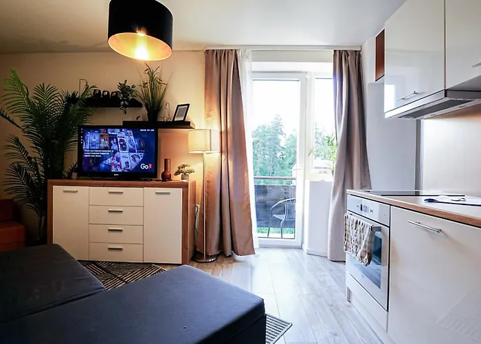 Appartement Cofy - Near-centrally Located, Quiet District, Air-conditioning, Free Parking, 24-7 Express Check-in-out, Close To Nature, Everything Need For Living! Tartu