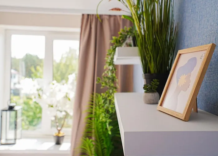 Cofy - Near-centrally Located, Quiet District, Air-conditioning, Free Parking, 24-7 Express Check-in-out, Close To Nature, Everything Need For Living! Appartement *